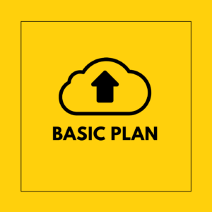 basic care plan